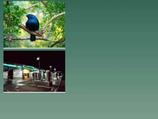gallery screenshot