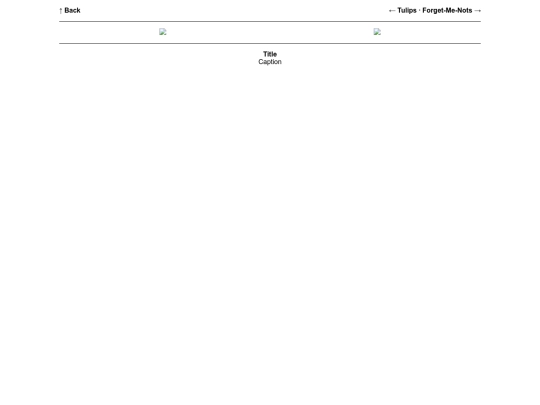 page/flowers/carnations screenshot