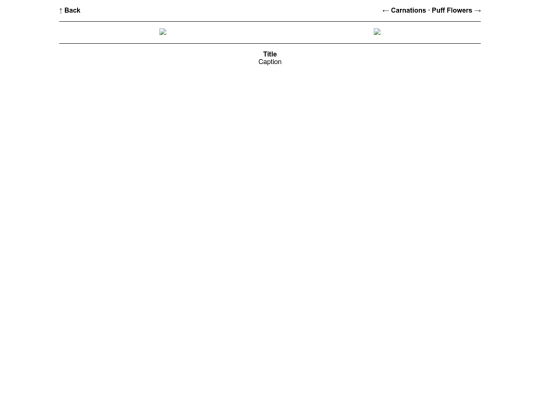 page/flowers/forgetmenots screenshot