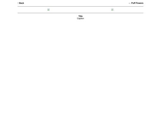 page/flowers/greenery screenshot