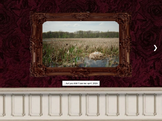photography screenshot