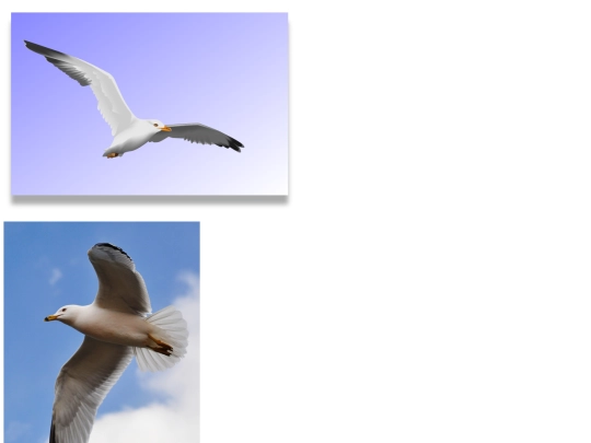 Imitation screenshot