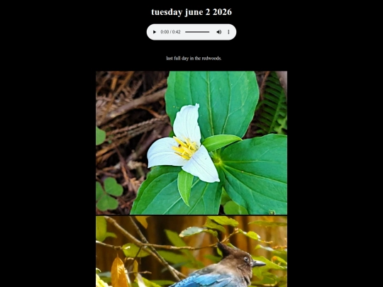 20260602 screenshot