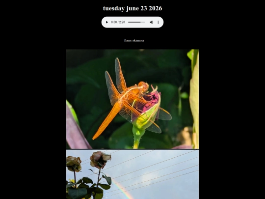 20260623 screenshot