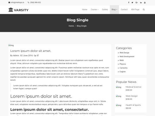 blog-single screenshot