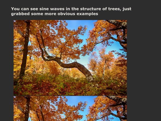 posts/trees_sine_waves screenshot