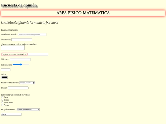 formulario/formulario screenshot