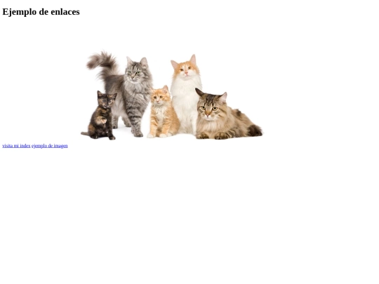 ejemplos /hipervinculos screenshot