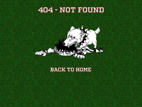 not_found screenshot