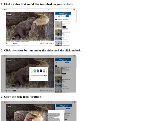 video_embedding screenshot