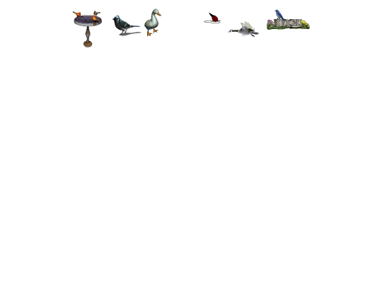 birds/birds screenshot
