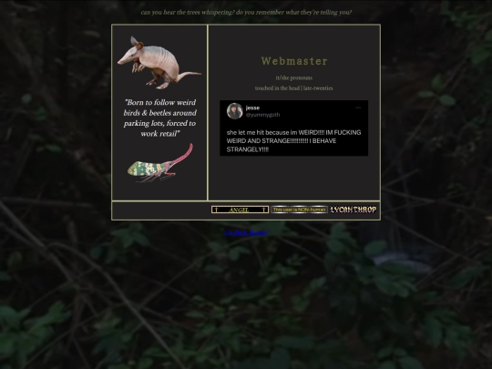 about screenshot