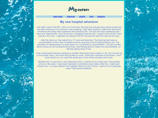 entry13 screenshot