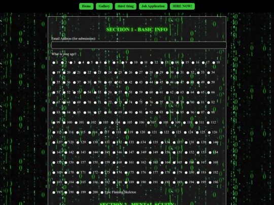 job_application screenshot