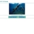 Uborka Sharks Adventure avatar