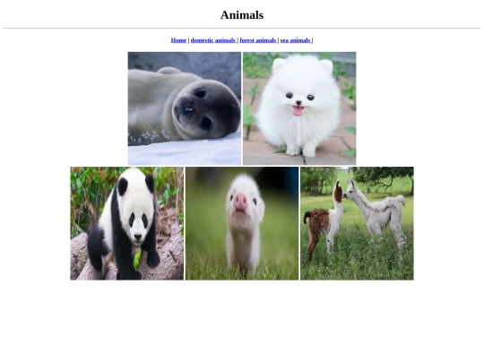 Animals/Animals screenshot