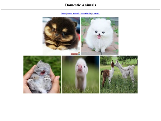 Animals/domestic animals screenshot