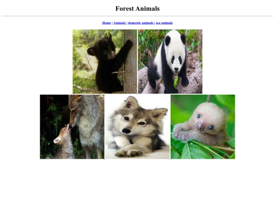 Animals/forest animals screenshot