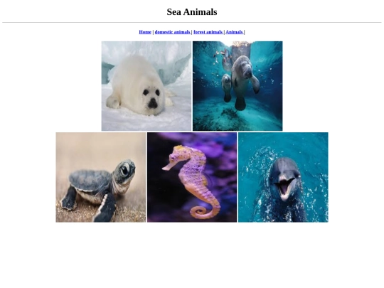 Animals/sea animals screenshot