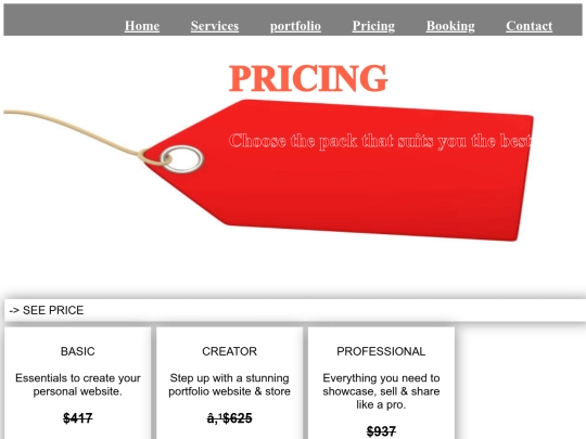 project/pricing screenshot