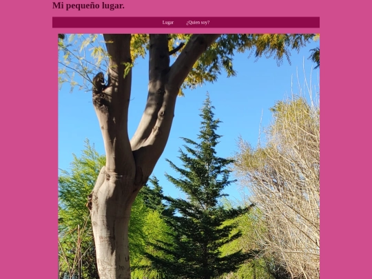 T1_MI PRESENTACION screenshot