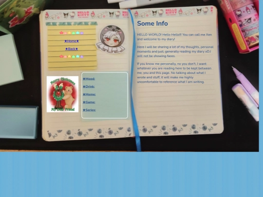 diary_entries/info screenshot