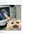 anyaforgernutss.neocities.org avatar