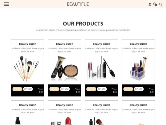 products screenshot