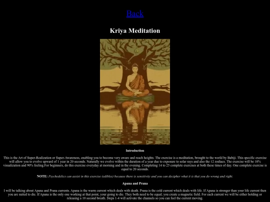 blogs/meditations/kriya screenshot