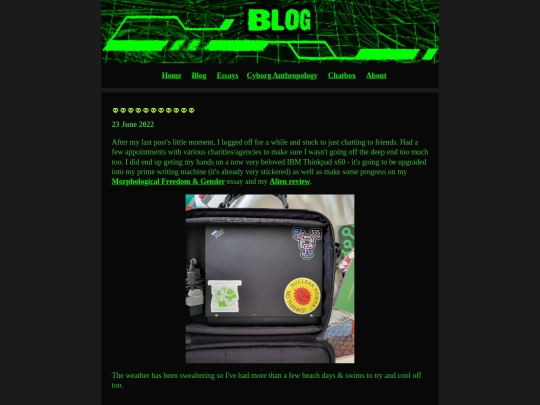 blog screenshot
