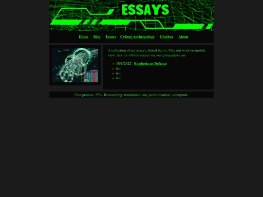 essays screenshot