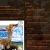 fox-in-ur-puter.neocities.org avatar