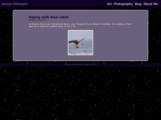 photography/birds/osprey-1 screenshot