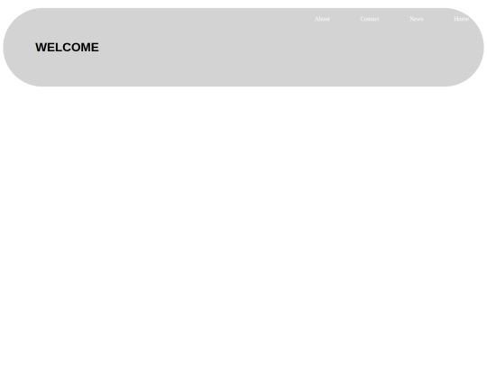 portfolio/portfolio screenshot