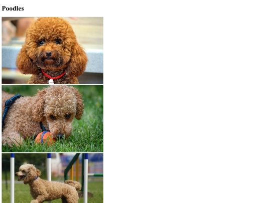 poodles screenshot