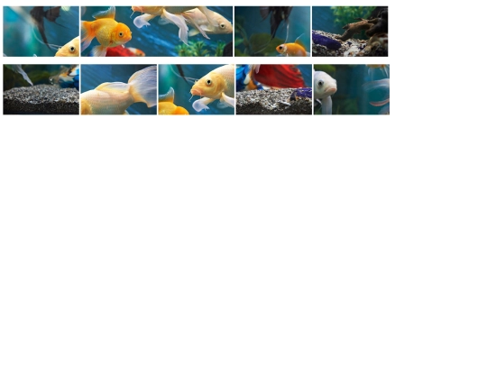 puzzle screenshot