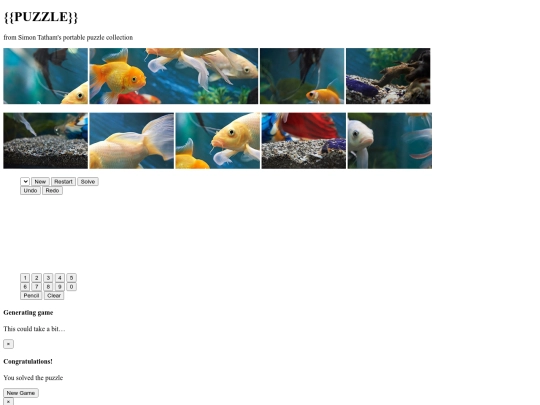 puzzle1 screenshot