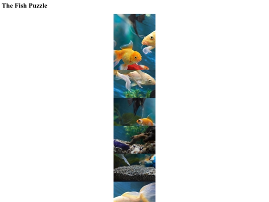 puzzle2 screenshot