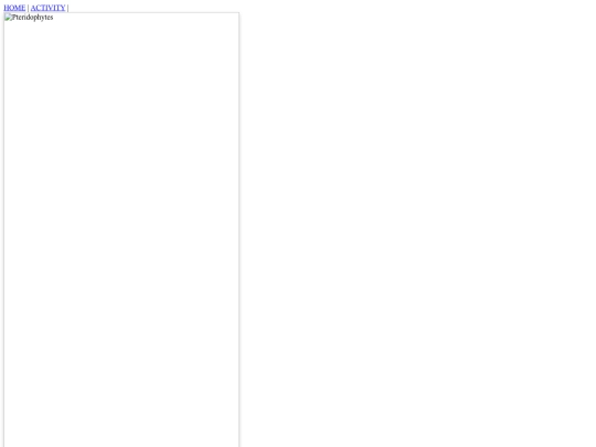 staff2 screenshot