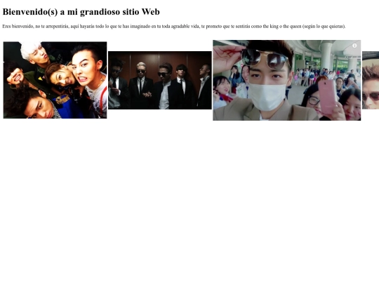 paginaWeb01 screenshot