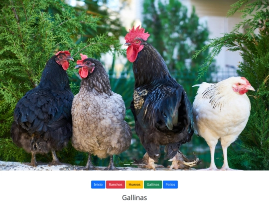 Gallinas screenshot