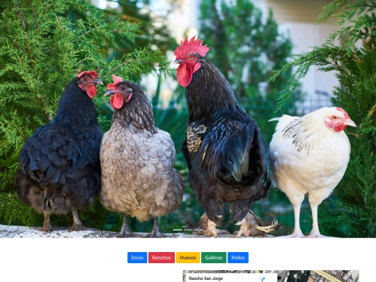 Pollos screenshot