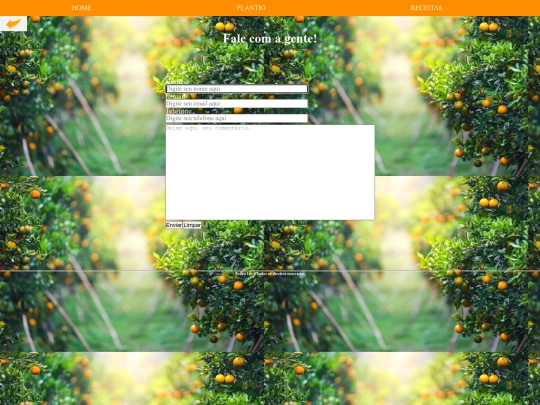 contato screenshot