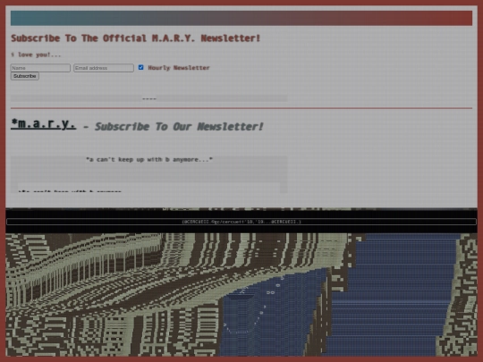 NEWSLETTER screenshot