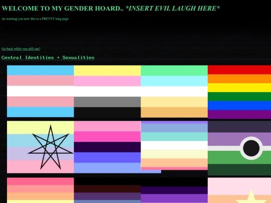 flagsonefin screenshot