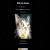 Cat Website avatar