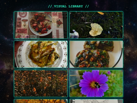 library screenshot