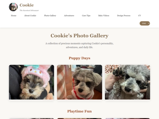 Cookie's world/pages/gallery screenshot