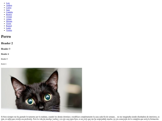 WEBCOLECTIVA/miriam screenshot