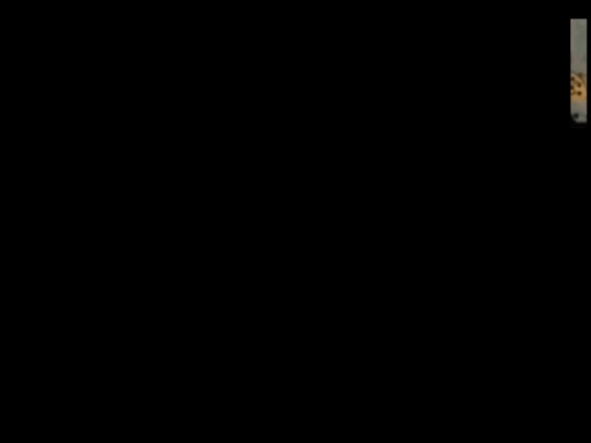 windows 98 theme screenshot